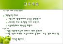 정신분열증 사례연구  23페이지