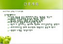 정신분열증 사례연구  27페이지