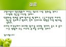 정신분열증 사례연구  28페이지