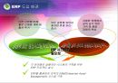 빙그레 ERP 성공사례  12페이지