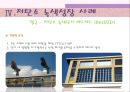 저탄소 녹색성장 Low Carbon Green Growth 저탄소 녹색성장을 위한 방안!.ppt 23페이지