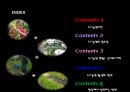 [세미나] 도시 생태 농업 - Uaban Agriculure 도시농업의 필요성 , 방안 및 사례조사.ppt 2페이지