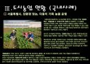 [세미나] 도시 생태 농업 - Uaban Agriculure 도시농업의 필요성 , 방안 및 사례조사.ppt 15페이지