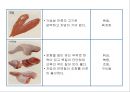 육류 Ⅱ(식품구매).ppt 5페이지