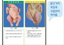 육류 Ⅱ(식품구매).ppt 9페이지