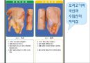 육류 Ⅱ(식품구매).ppt 14페이지
