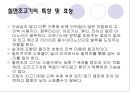 육류 Ⅱ(식품구매).ppt 25페이지