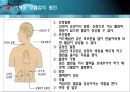 고혈압의 이론적 배경.ppt 11페이지