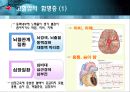 고혈압의 이론적 배경.ppt 15페이지