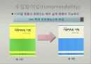 e-비즈니스  콘텐츠 관리 17페이지