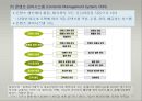 e-비즈니스  콘텐츠 관리 30페이지