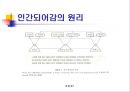 Rosemarie Rizzo Parse- 인간되어감 이론 23페이지