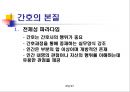 Rosemarie Rizzo Parse- 인간되어감 이론 25페이지