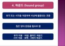(요약정리) 개의 분류와 특징 9페이지