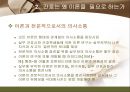 간호 이론의 이해  11페이지