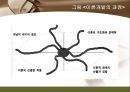 간호 이론의 이해  14페이지