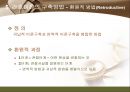 간호 이론의 이해  26페이지