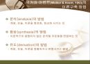 간호 이론의 이해  27페이지