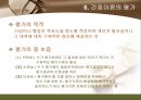 간호 이론의 이해  28페이지