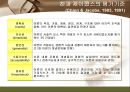 간호 이론의 이해  33페이지