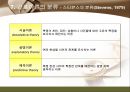 간호 이론의 이해  37페이지