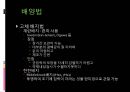 [의학과][진단검사의학과] 결핵배양 13페이지