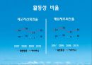 대한한공 기업분석 Korean Air Business Analysis.ppt 15페이지