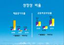 대한한공 기업분석 Korean Air Business Analysis.ppt 17페이지