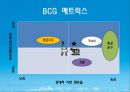 대한한공 기업분석 Korean Air Business Analysis.ppt 21페이지