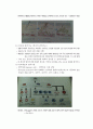 생명과학의 이해 요약정리 : chapter 2 ~ 8 21페이지