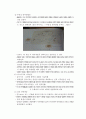 생명과학의 이해 요약정리 : chapter 2 ~ 8 28페이지
