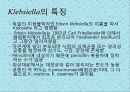 연구 계획서 - 미생물 실험 (Klebsiella  /  Enterobacter & Pseudomonas aeruginosa).PPT자료 6페이지