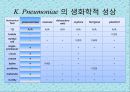 연구 계획서 - 미생물 실험 (Klebsiella  /  Enterobacter & Pseudomonas aeruginosa).PPT자료 8페이지