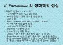 연구 계획서 - 미생물 실험 (Klebsiella  /  Enterobacter & Pseudomonas aeruginosa).PPT자료 9페이지