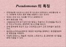 연구 계획서 - 미생물 실험 (Klebsiella  /  Enterobacter & Pseudomonas aeruginosa).PPT자료 16페이지