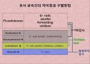 연구 계획서 - 미생물 실험 (Klebsiella  /  Enterobacter & Pseudomonas aeruginosa).PPT자료 18페이지
