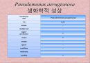 연구 계획서 - 미생물 실험 (Klebsiella  /  Enterobacter & Pseudomonas aeruginosa).PPT자료 20페이지