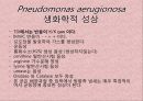 연구 계획서 - 미생물 실험 (Klebsiella  /  Enterobacter & Pseudomonas aeruginosa).PPT자료 21페이지