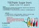 연구 계획서 - 미생물 실험 (Klebsiella  /  Enterobacter & Pseudomonas aeruginosa).PPT자료 23페이지