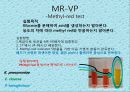 연구 계획서 - 미생물 실험 (Klebsiella  /  Enterobacter & Pseudomonas aeruginosa).PPT자료 25페이지