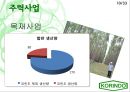 인도네시아 코린도(Korindo) - Find Global Solution To Local Changes.PPT자료 10페이지