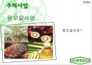 인도네시아 코린도(Korindo) - Find Global Solution To Local Changes.PPT자료 13페이지