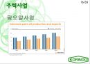 인도네시아 코린도(Korindo) - Find Global Solution To Local Changes.PPT자료 16페이지