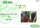 인도네시아 코린도(Korindo) - Find Global Solution To Local Changes.PPT자료 20페이지