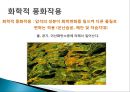 풍화작용의 이해와 침식지형과 퇴적지형.PPT자료 7페이지