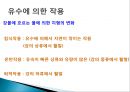 풍화작용의 이해와 침식지형과 퇴적지형.PPT자료 14페이지