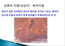 풍화작용의 이해와 침식지형과 퇴적지형.PPT자료 17페이지