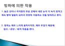 풍화작용의 이해와 침식지형과 퇴적지형.PPT자료 29페이지