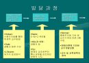 교육공학의 발달과 영역 3페이지