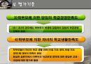 교원평가제  11페이지